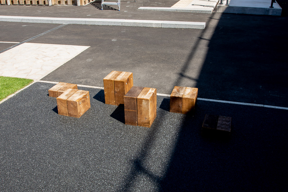 Stepping Logs